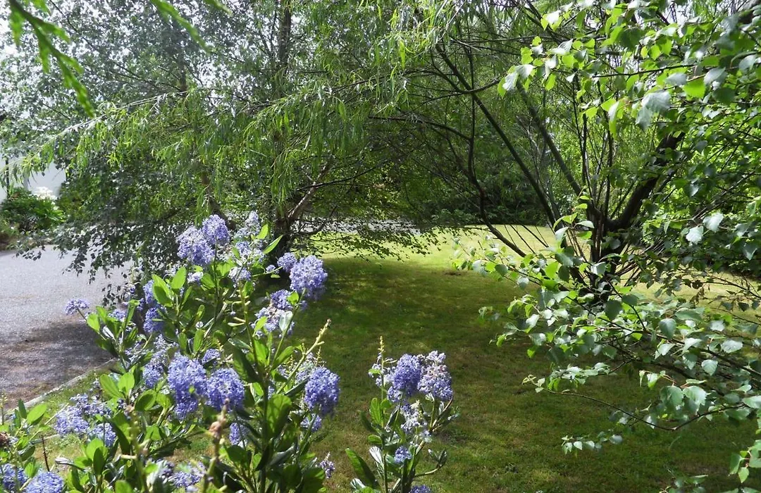 Ethan Cottage-1