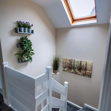 9 Parklands Holiday Home-3